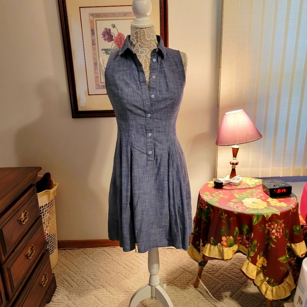 Mes Amies Boutique button down denim dress